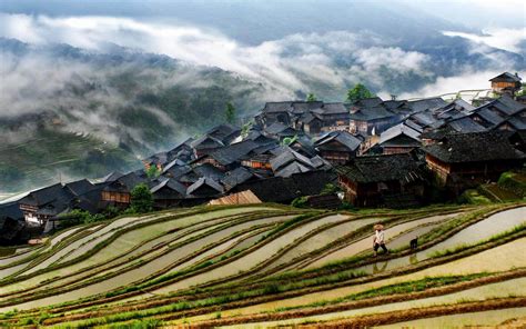 china rural areas smartphone